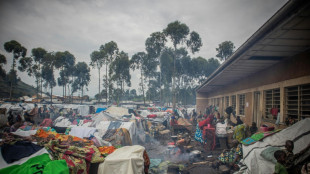 RDC: au lendemain de la trêve, rebelles du M23 et armée s'observent