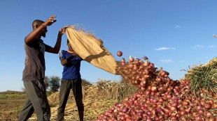 Au Soudan, la guerre prive agriculteurs et artisans de clients