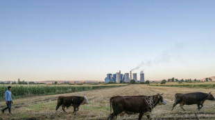 La pollution par habitant liée au charbon augmente dans les pays du G20