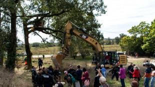 A69: dans le dernier bastion d'opposants, grands arbres coupés avant évacuation programmée