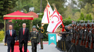 Victorious Erdogan demands recognition of northern Cyprus