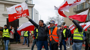 Des milliers d'agriculteurs en colère manifestent à Varsovie, quelques policiers blessés 