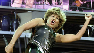 Tina Turner: the raw power of rock and roll 