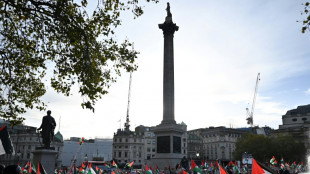 Des milliers de manifestants se rassemblent à Londres en soutien aux Palestiniens