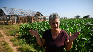 El sector del tabaco en Cuba se lame las heridas tras el azote de Ian