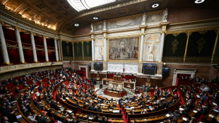 Budget: l'Assemblée adopte des rallonges anti-inflation, sans 49.3