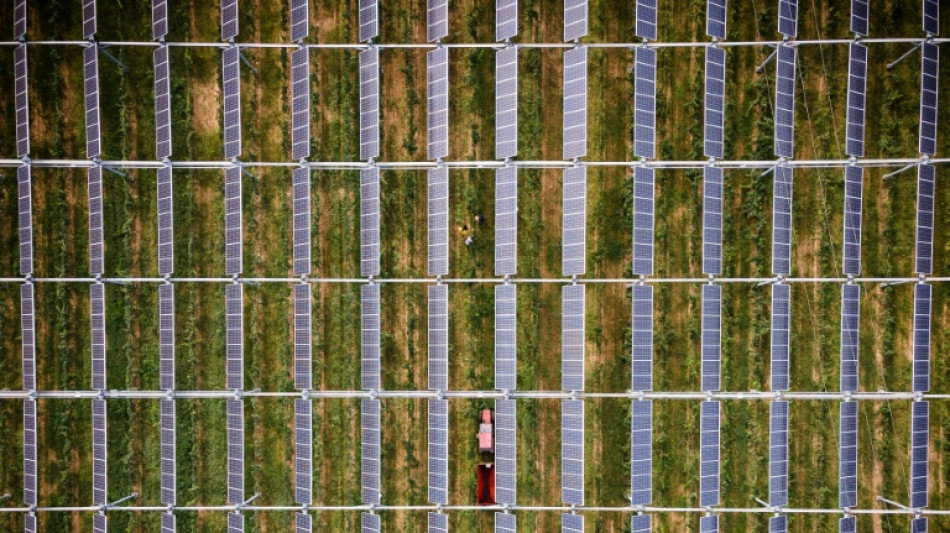 Vinicultura conectada para hacer frente a la amenaza climática