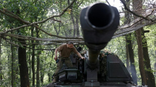 Ukraine: Dans la bataille pour Bakhmout, un canon qui s'use