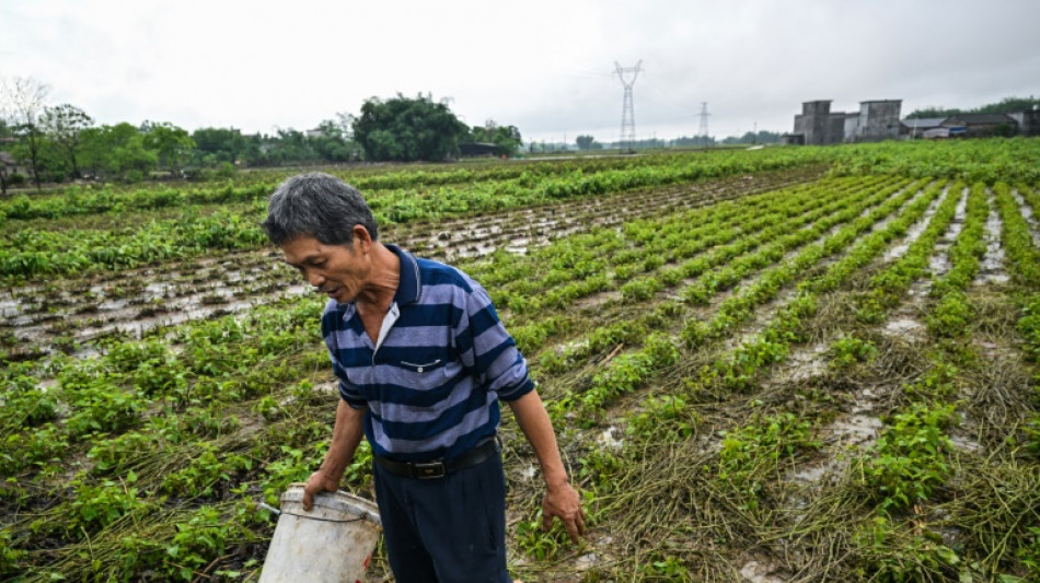 In south China, silkworm farmers reel from deadly floods