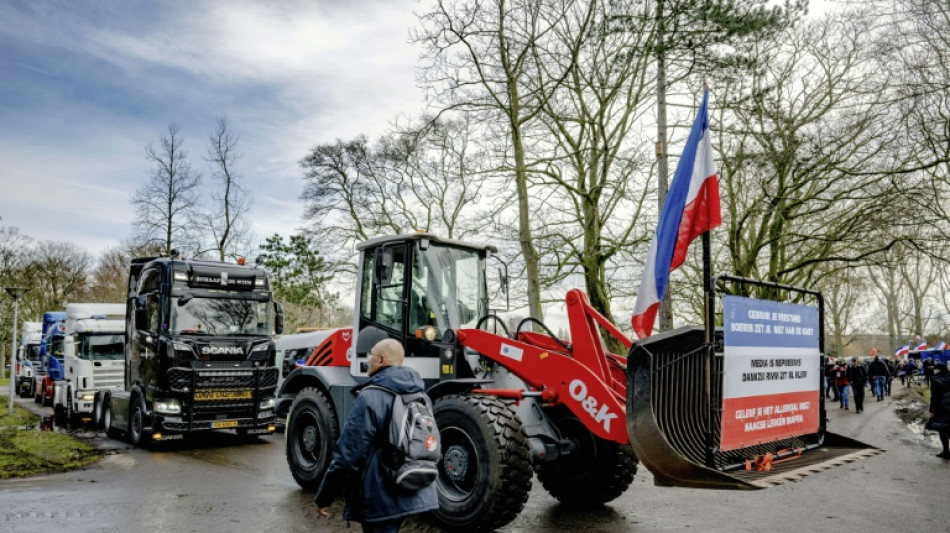 Dutch farmers look to reap gains in elections