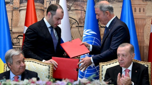 Russia, Ukraine seal landmark grain deal in Istanbul