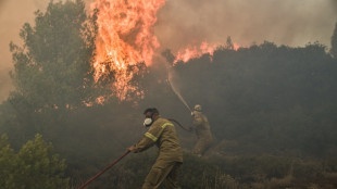 Veinte muertos en una nueva ola de incendios en Grecia