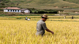 La Corée du Nord tiendra une réunion clé du Parti sur l'agriculture fin février