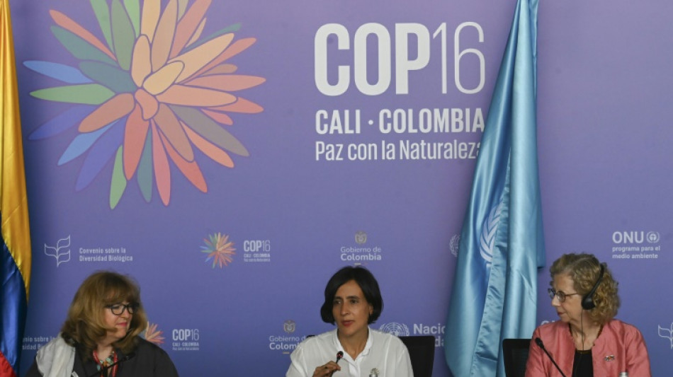 COP16 avanza con "grandes progresos", dice ministra de Ambiente de Colombia