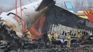 Corea del Sur investiga si muro con el que chocó el avión de Jeju Air respetaba las normas