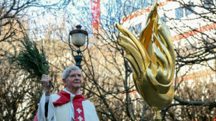 Notre-Dame retrouve son coq, nouveau marqueur de sa renaissance