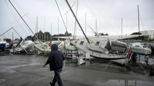 Tempête Ciaran: la France répare les dégâts, Macron souhaite un retour à la normale "au plus vite"