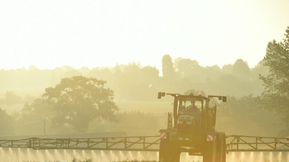 Les eurodéputés votent pour réduire drastiquement l'usage des pesticides dans l'UE