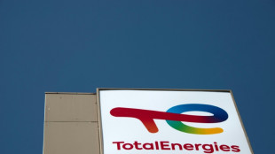 TotalEnergies prend ses distances avec son partenaire gazier russe Novatek