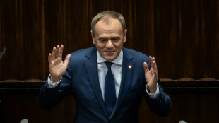 Pologne: Donald Tusk appelle à une UE puissante et au soutien à l'Ukraine 