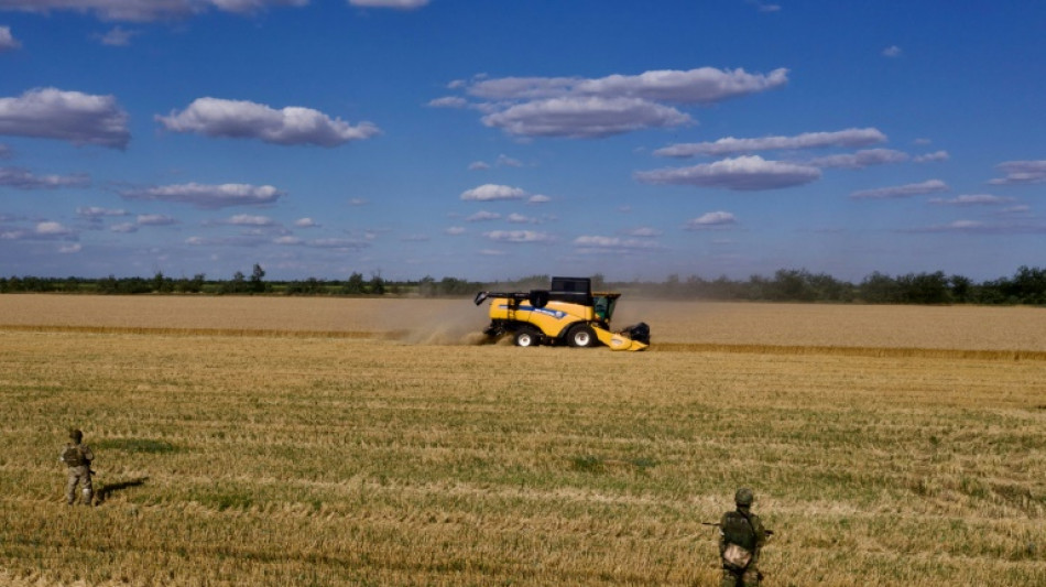 Grain prices ease back but fertiliser costs a growing risk