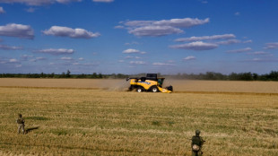 Grain prices ease back but fertiliser costs a growing risk