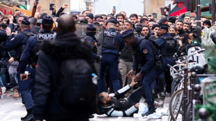 Kurdish protesters clash with police after Paris shooting