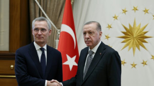 NATO chief urges Turkey not to veto Sweden's bid 