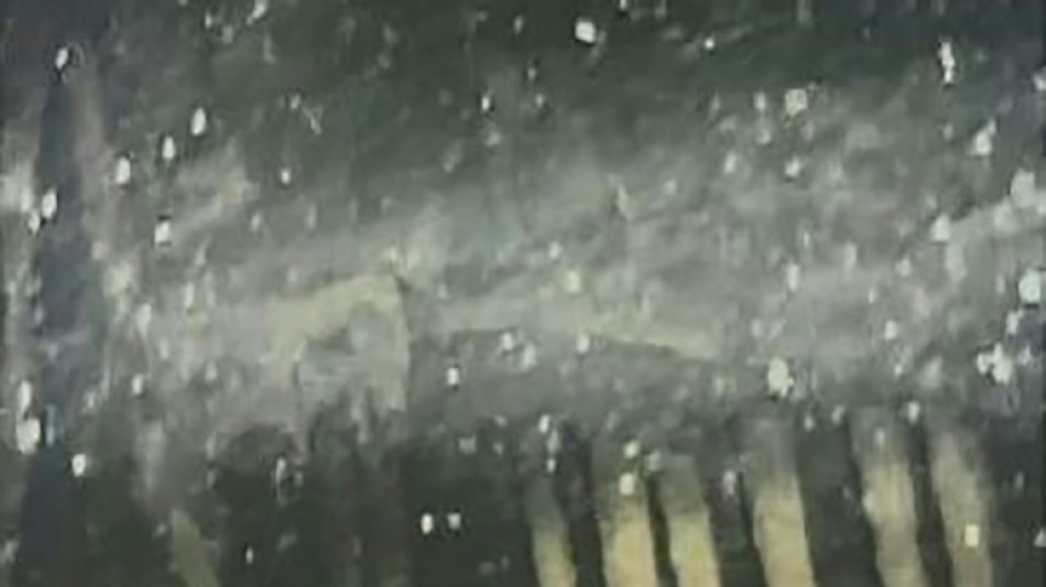 Video probe shows internal damage to Fukushima reactor