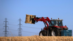 83-Jähriger wird in Bayern von Traktor überrollt und stirbt