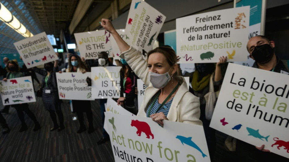 Civil society wants voice heard at COP15 biodiversity meeting