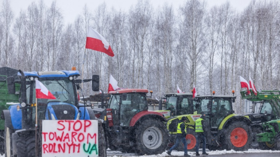 Ukraine: accord dans l'UE pour plafonner les importations de volailles, maïs et avoine