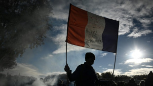 Bordeaux: des centaines de vignerons manifestent pour une prime à l'arrachage