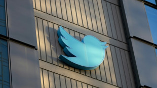 Twitter, Saudi Arabia sued in US over jailed user