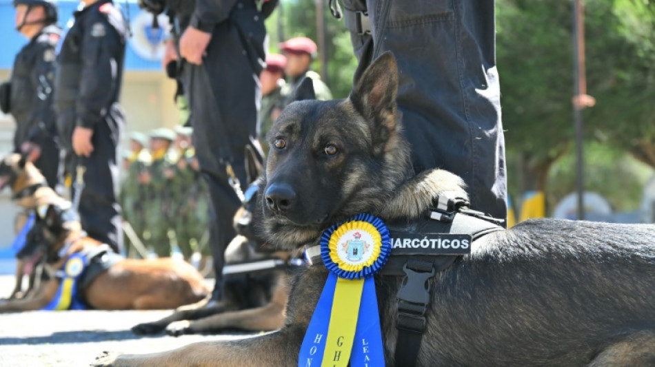 Ecuador condecora a perros detectores de droga, armas y explosivos