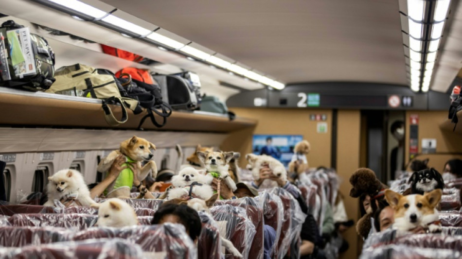 A paw-some day trip: dogs ride Japan bullet train