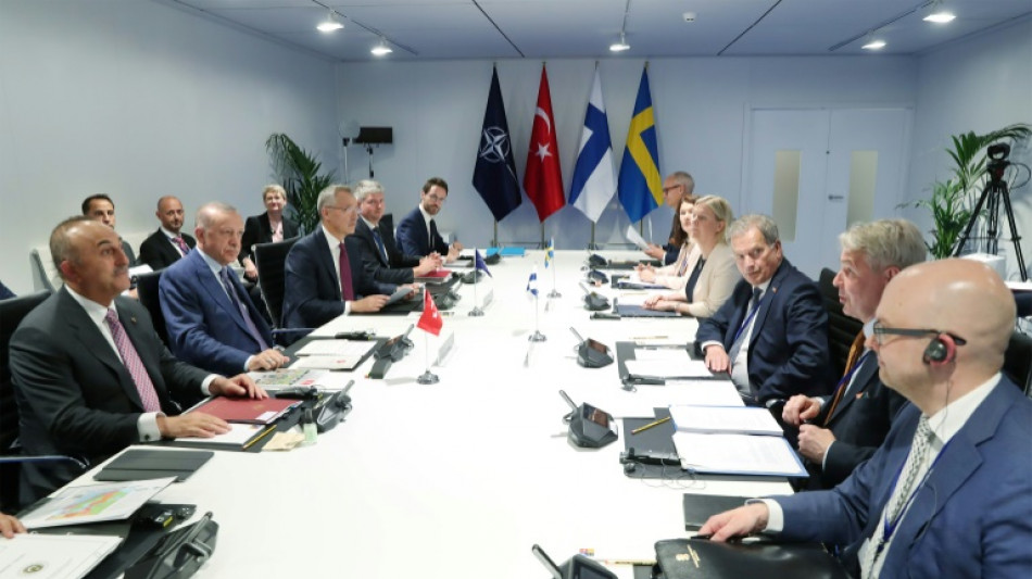 Turkey supports Finland and Sweden NATO bid