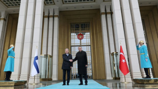 Erdogan asks parliament to vote on Finland's NATO bid