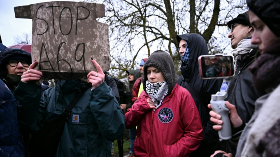 Greta Thunberg se joint à un rassemblement d'opposants à l'autoroute A69 dans le Tarn