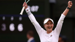 Krejcikova hails late Novotna for Wimbledon final spot