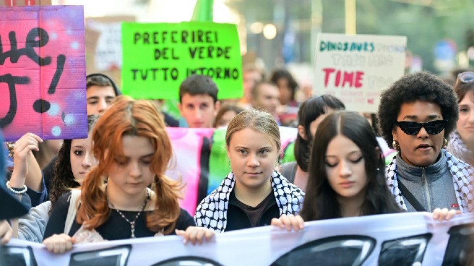 Thunberg leads pro-Palestinian, climate protest in Milan