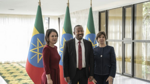 European ministers in Ethiopia hail peace progress