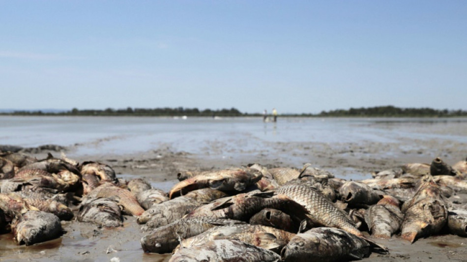 Freshwater fish swim into trouble as climate change increases threat: IUCN