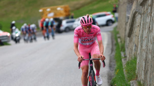 Pogacar gewinnt Giro-Königsetappe