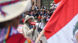 Peru girds for new rally in Lima despite state of emergency