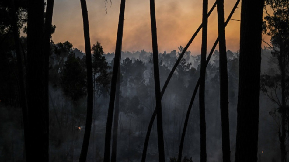 Sous la canicule, le Portugal peine à maîtriser plusieurs feux de forêt