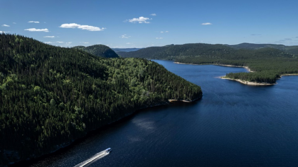 In Canada's boreal forest, one man works to save caribou