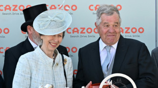 The Derby crown fits Stoute, the doyen of the 'Sport of Kings'