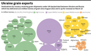 Russia, UN set for Ukraine grain deal renewal talks