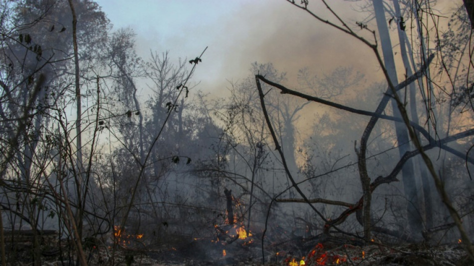 Incêndios não dão trégua no Brasil